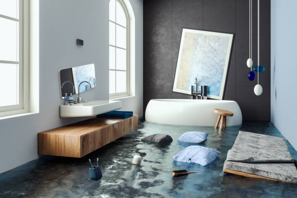 Best Flood damage cleanup  in Air Force Academy, CO