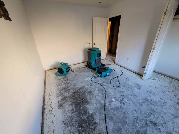 Air Force Academy, CO Water damage restoration Company