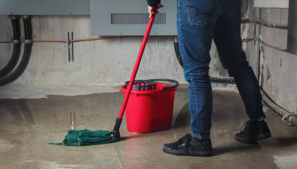 Best Water damage restoration near me  in Air Force Academy, CO